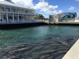 Manatee Lagoon West Palm Beach