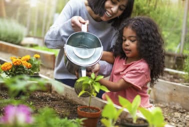 Container and Raised Bed Gardening - Sky Cove of Westlake