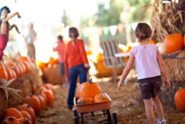 Family Fall Activities in South Florida
