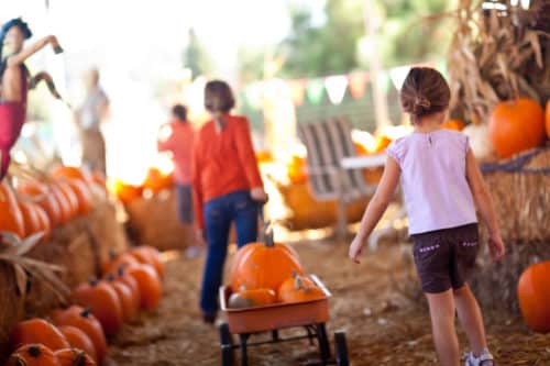 Family Fall Activities in South Florida 