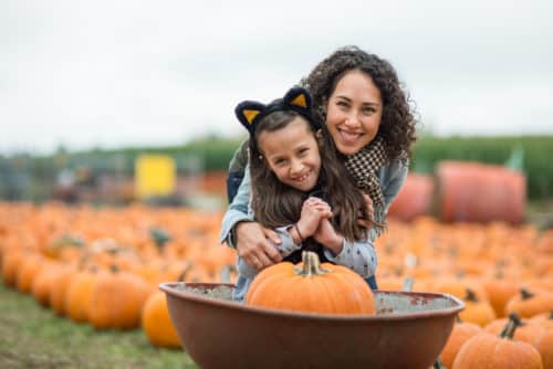 Pumpkin Patches in Westlake and South FL - Family Fun Activities