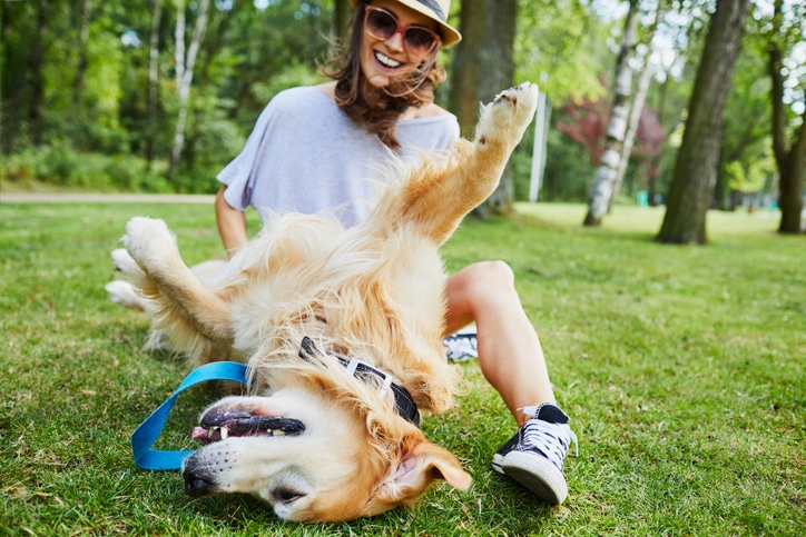 Fun in the sun: 11 great summer activities to do with your dog – DOG by Dr  Lisa