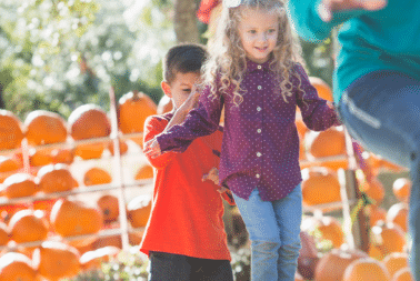 sky cove south of westlake family fall activities