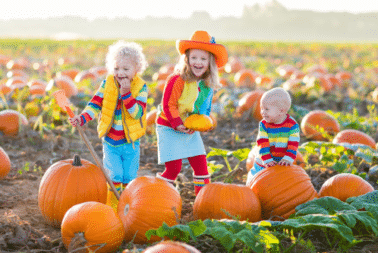 Best Family Fall Activities in Westlake and South Florida - Sky Cove of